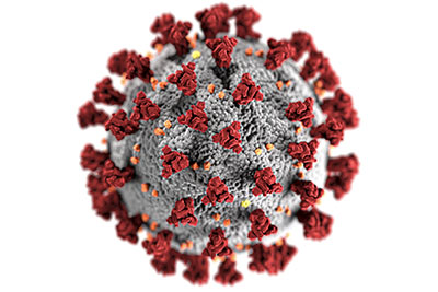 COVID-19 Virus image